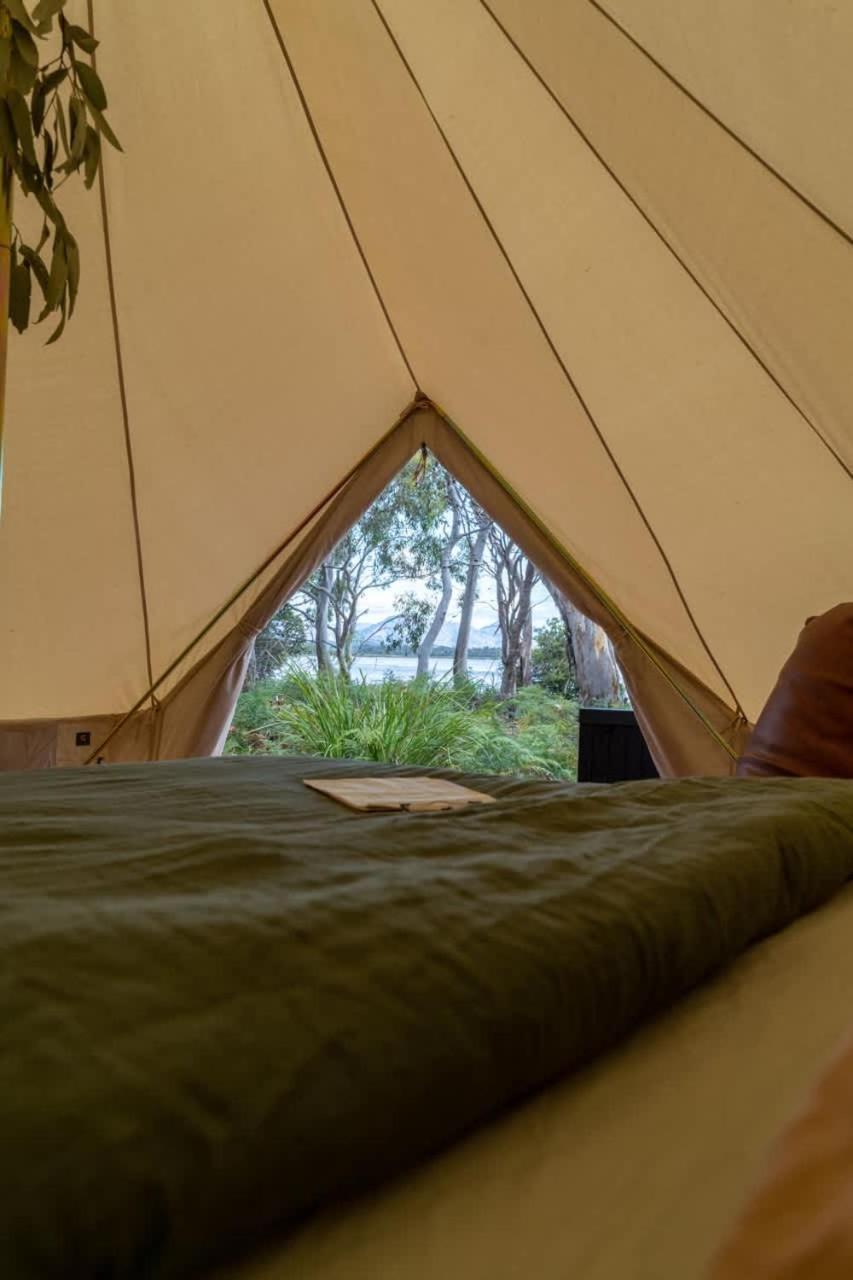 Numie - Freycinet Peninsula - Glamping - Heated - Waterfront Hotel Coles Bay Exterior photo