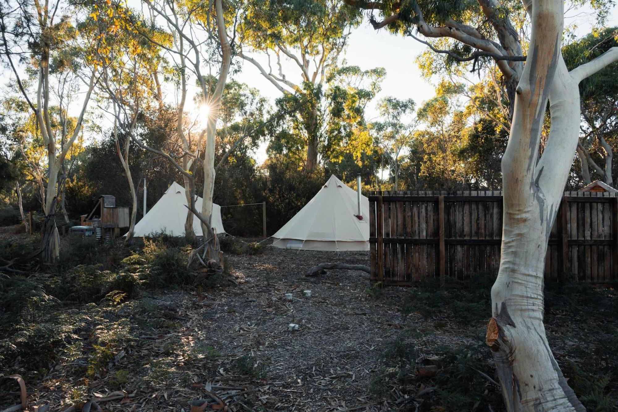 Numie - Freycinet Peninsula - Glamping - Heated - Waterfront Hotel Coles Bay Exterior photo
